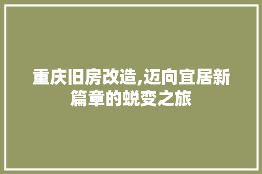 重庆旧房改造,迈向宜居新篇章的蜕变之旅