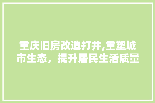 重庆旧房改造打井,重塑城市生态，提升居民生活质量