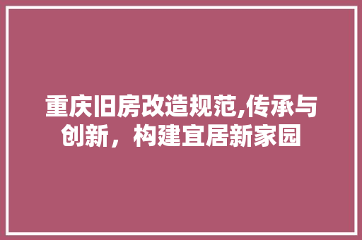 重庆旧房改造规范,传承与创新，构建宜居新家园