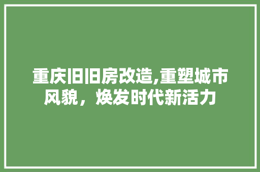 重庆旧旧房改造,重塑城市风貌，焕发时代新活力
