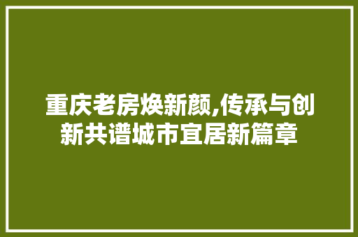 重庆老房焕新颜,传承与创新共谱城市宜居新篇章