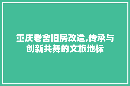 重庆老舍旧房改造,传承与创新共舞的文旅地标