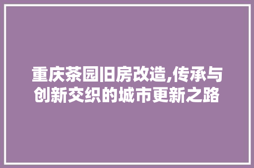 重庆茶园旧房改造,传承与创新交织的城市更新之路