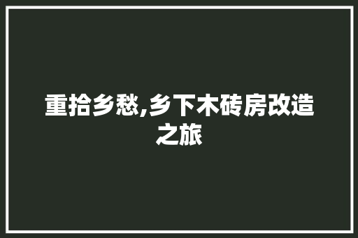 重拾乡愁,乡下木砖房改造之旅
