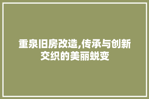 重泉旧房改造,传承与创新交织的美丽蜕变