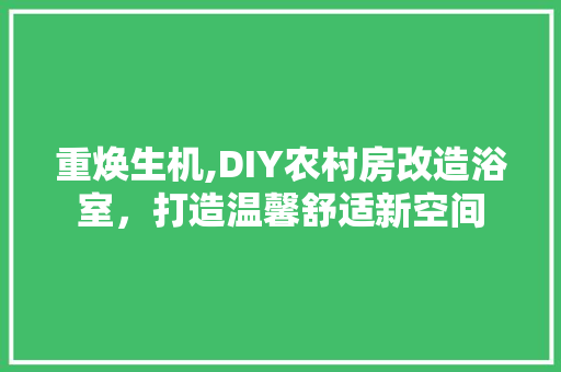 重焕生机,DIY农村房改造浴室，打造温馨舒适新空间