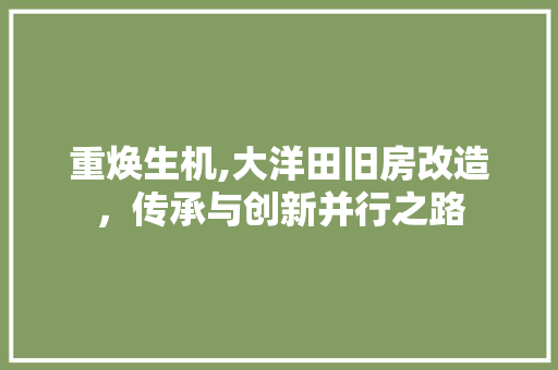 重焕生机,大洋田旧房改造，传承与创新并行之路