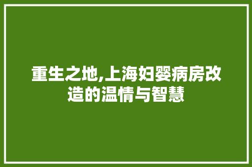 重生之地,上海妇婴病房改造的温情与智慧