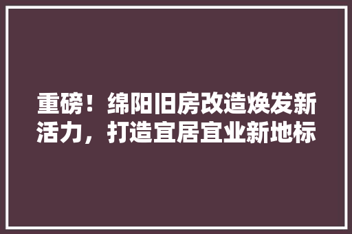 重磅！绵阳旧房改造焕发新活力，打造宜居宜业新地标 厨房维修