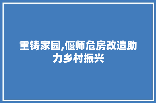重铸家园,偃师危房改造助力乡村振兴