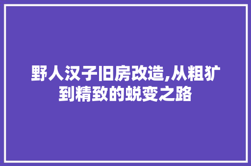 野人汉子旧房改造,从粗犷到精致的蜕变之路