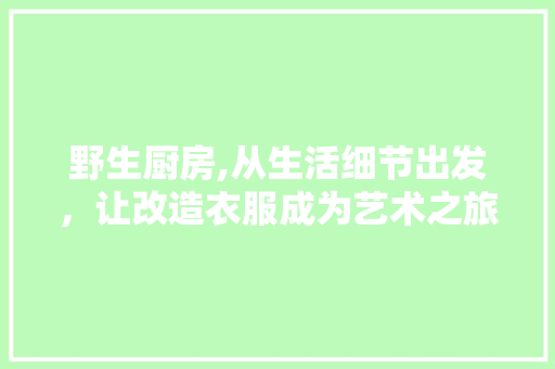 野生厨房,从生活细节出发，让改造衣服成为艺术之旅