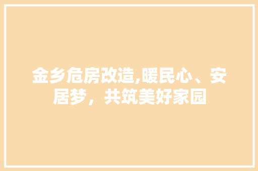 金乡危房改造,暖民心、安居梦，共筑美好家园