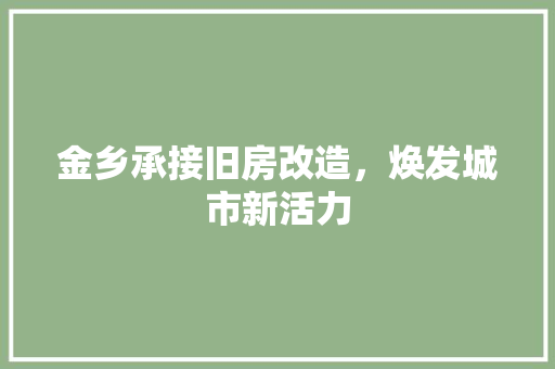 金乡承接旧房改造，焕发城市新活力