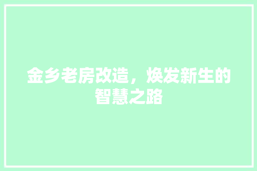 金乡老房改造，焕发新生的智慧之路