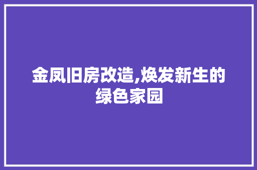 金凤旧房改造,焕发新生的绿色家园