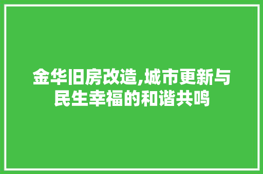 金华旧房改造,城市更新与民生幸福的和谐共鸣 墙体维修