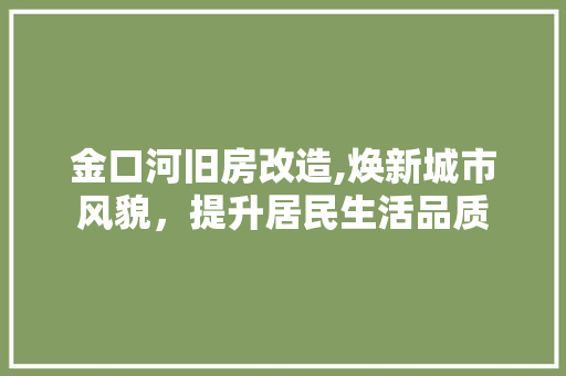 金口河旧房改造,焕新城市风貌，提升居民生活品质