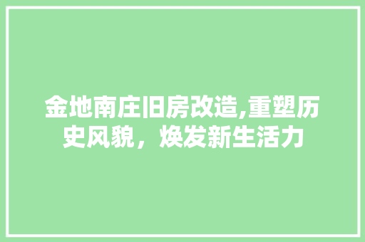 金地南庄旧房改造,重塑历史风貌，焕发新生活力
