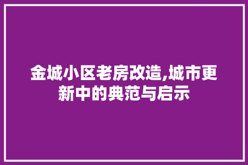 金城小区老房改造,城市更新中的典范与启示