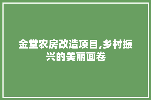 金堂农房改造项目,乡村振兴的美丽画卷