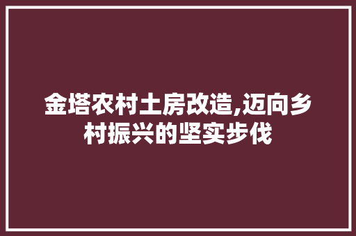 金塔农村土房改造,迈向乡村振兴的坚实步伐
