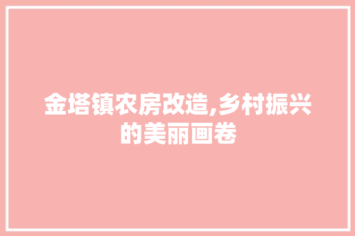 金塔镇农房改造,乡村振兴的美丽画卷