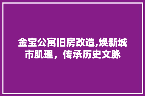 金宝公寓旧房改造,焕新城市肌理，传承历史文脉