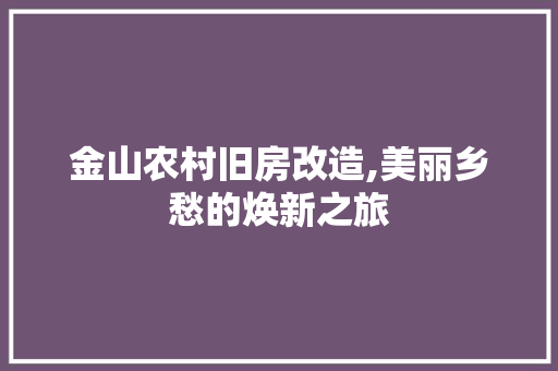 金山农村旧房改造,美丽乡愁的焕新之旅