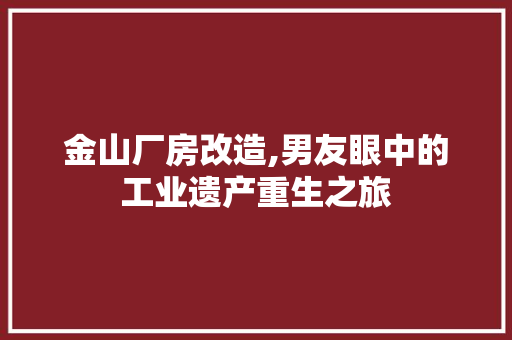 金山厂房改造,男友眼中的工业遗产重生之旅