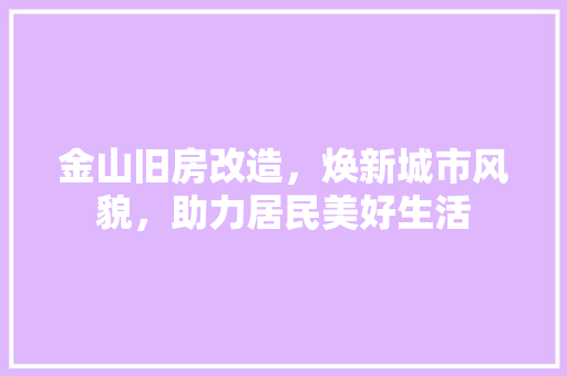 金山旧房改造，焕新城市风貌，助力居民美好生活