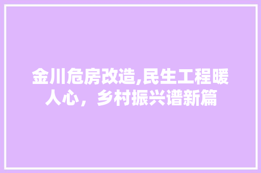 金川危房改造,民生工程暖人心，乡村振兴谱新篇