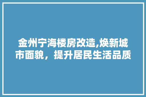 金州宁海楼房改造,焕新城市面貌，提升居民生活品质 家电维修