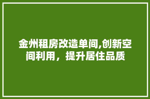 金州租房改造单间,创新空间利用，提升居住品质