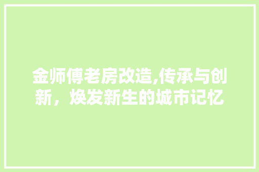 金师傅老房改造,传承与创新，焕发新生的城市记忆