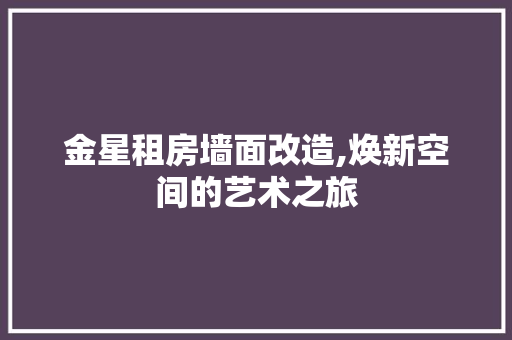 金星租房墙面改造,焕新空间的艺术之旅