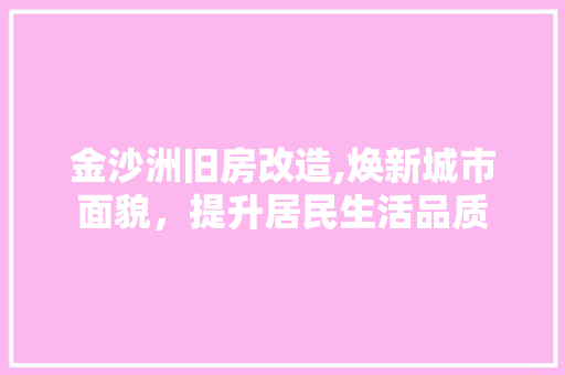 金沙洲旧房改造,焕新城市面貌，提升居民生活品质