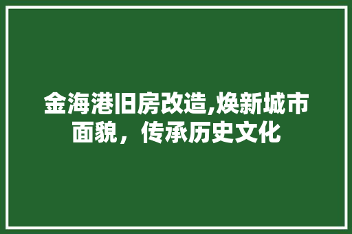 金海港旧房改造,焕新城市面貌，传承历史文化