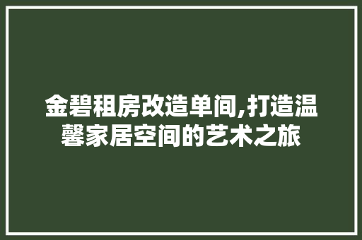 金碧租房改造单间,打造温馨家居空间的艺术之旅