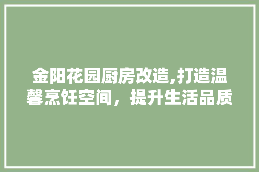 金阳花园厨房改造,打造温馨烹饪空间，提升生活品质