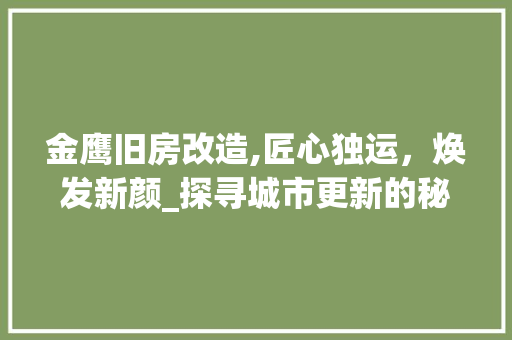 金鹰旧房改造,匠心独运，焕发新颜_探寻城市更新的秘密武器