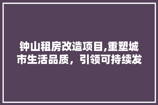 钟山租房改造项目,重塑城市生活品质，引领可持续发展新风尚