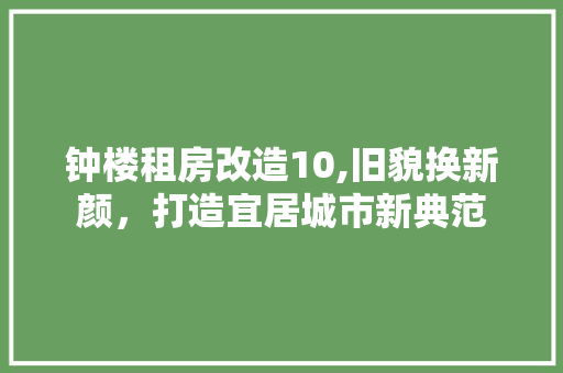 钟楼租房改造10,旧貌换新颜，打造宜居城市新典范