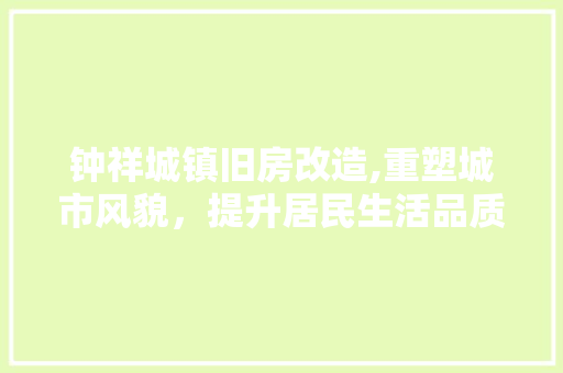 钟祥城镇旧房改造,重塑城市风貌，提升居民生活品质