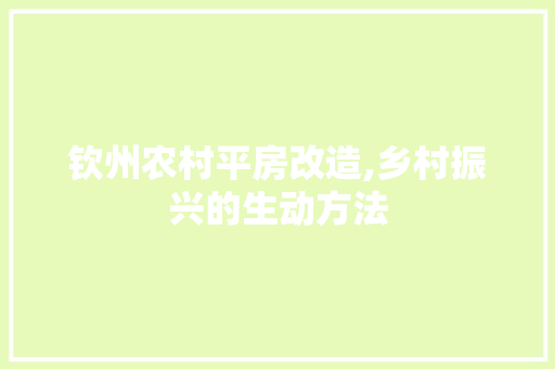 钦州农村平房改造,乡村振兴的生动方法
