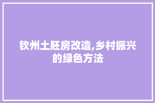 钦州土胚房改造,乡村振兴的绿色方法