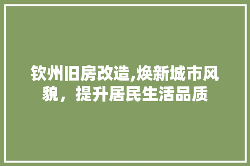 钦州旧房改造,焕新城市风貌，提升居民生活品质