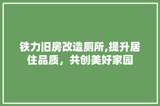铁力旧房改造厕所,提升居住品质，共创美好家园