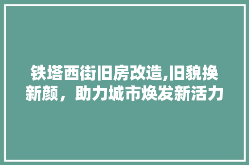 铁塔西街旧房改造,旧貌换新颜，助力城市焕发新活力