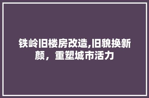 铁岭旧楼房改造,旧貌换新颜，重塑城市活力